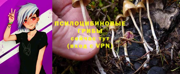 прущий лед Приозерск