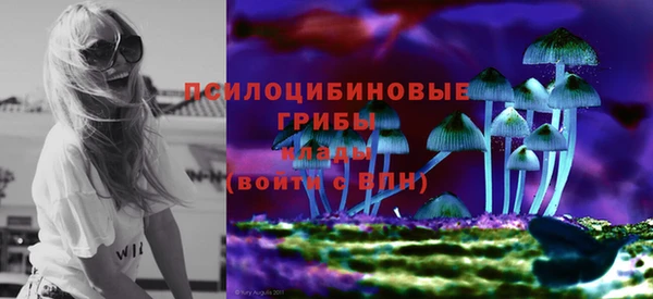эйфоретик Арсеньев
