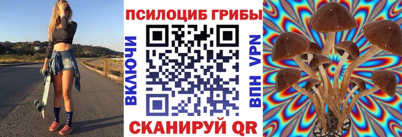 Галлюциногенные грибы ЛСД  площадка телеграм  Баймак  купить закладку 